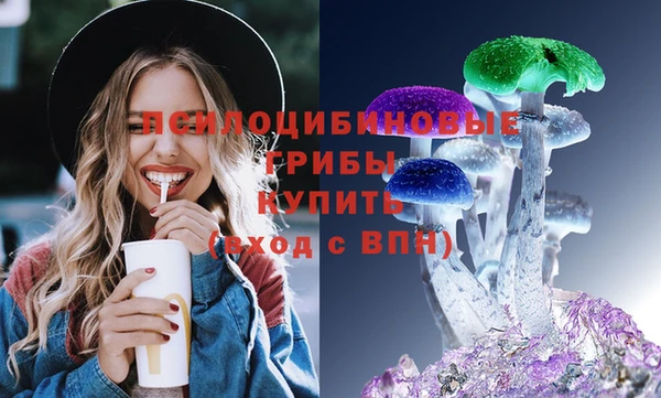 винт Богданович